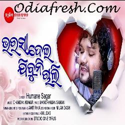 Bharasa Dei Jibuni Chali - Sad Song